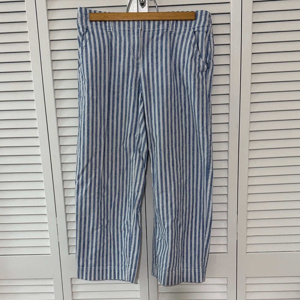Blue and White Striped Women’s Pants